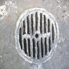 images/alumni/oil painting 12x12cm.jpg